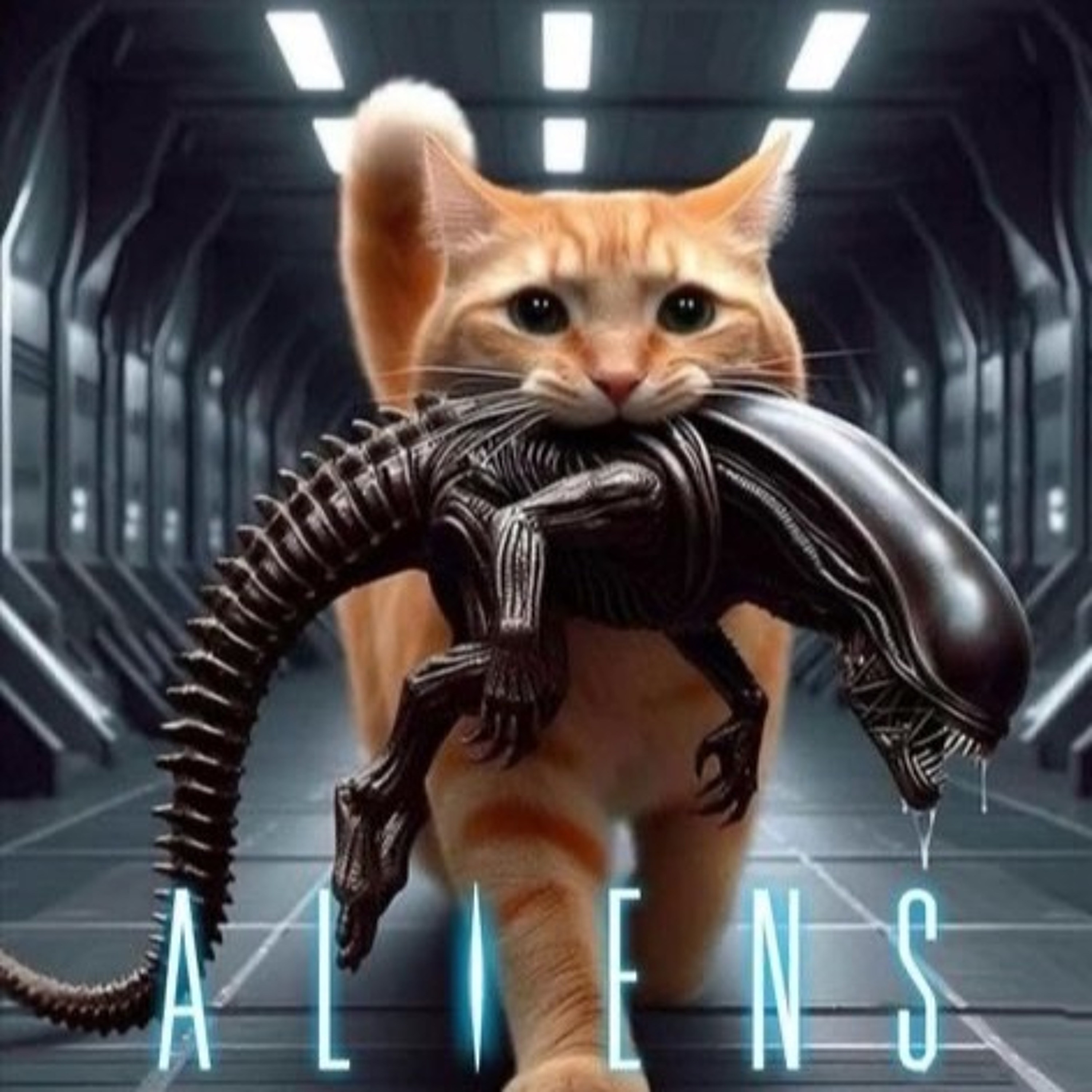 Universal Bytes episode artwork
