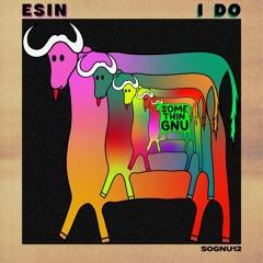 PREMIERE: Esin - I Do (Original Mix) [Somethingnu]