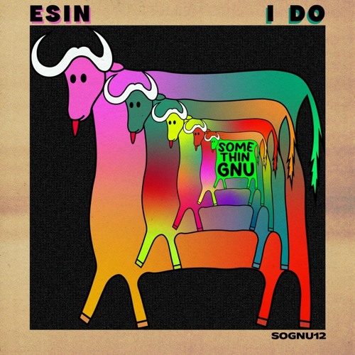 PREMIERE: Esin - I Do (Original Mix) [Somethingnu]