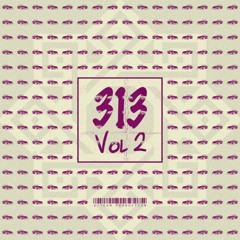 313 vol 2