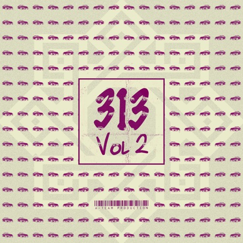 313 vol 2