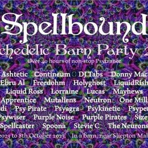Spellbound Psychedelic Barn Party Somerset Live Set.WAV