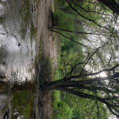 lets go to the park <3 prod lincoln minaj & fuckushorty