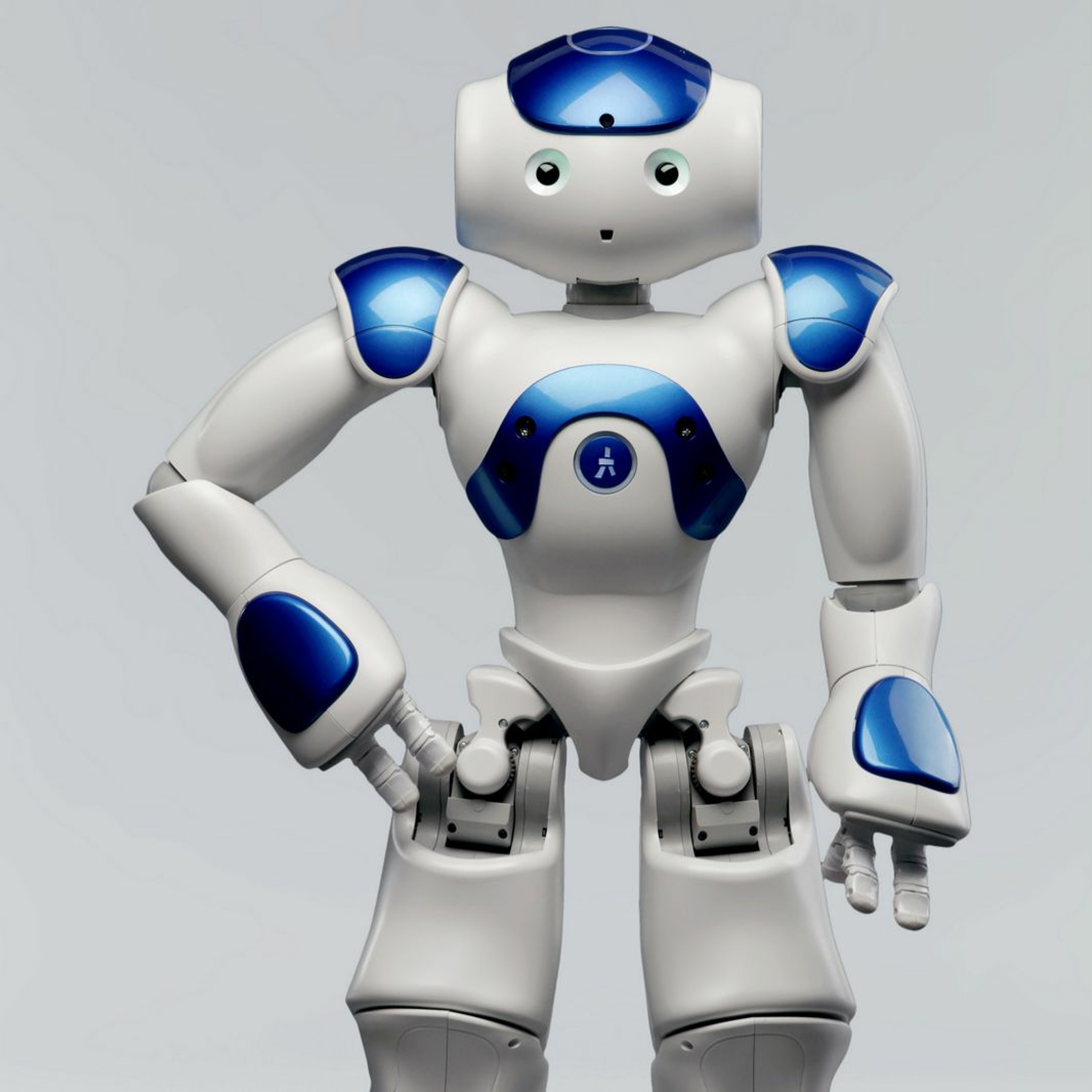 Soft Robotics Podcast