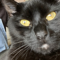 Don’t Think Twice It’s Alright (Bob Dylan)