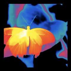 FRANCHISE REMIX -Sadik Ngutu ,Travis Scott, Skepta, Lancey Foux,Unknown T and Young Thug