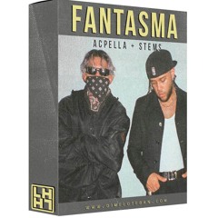 Tainy - FANTASMA ( Drums, Acapella, Bass, Sonidos ) 2024