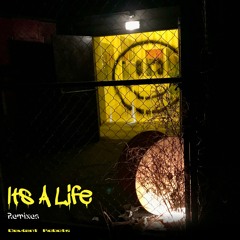 It's A Life (AudioTrip Remix)