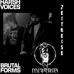 Zeitreise  ϟ  Brutal Forms X Harsh Voices. Urban Spree (Berlin) 14.12.2024