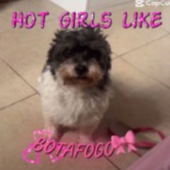 musica pro meu cachorro botafogo