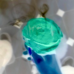 Falsos Rosales (Prod. Jordi Yundae, Supra & Kelvin)