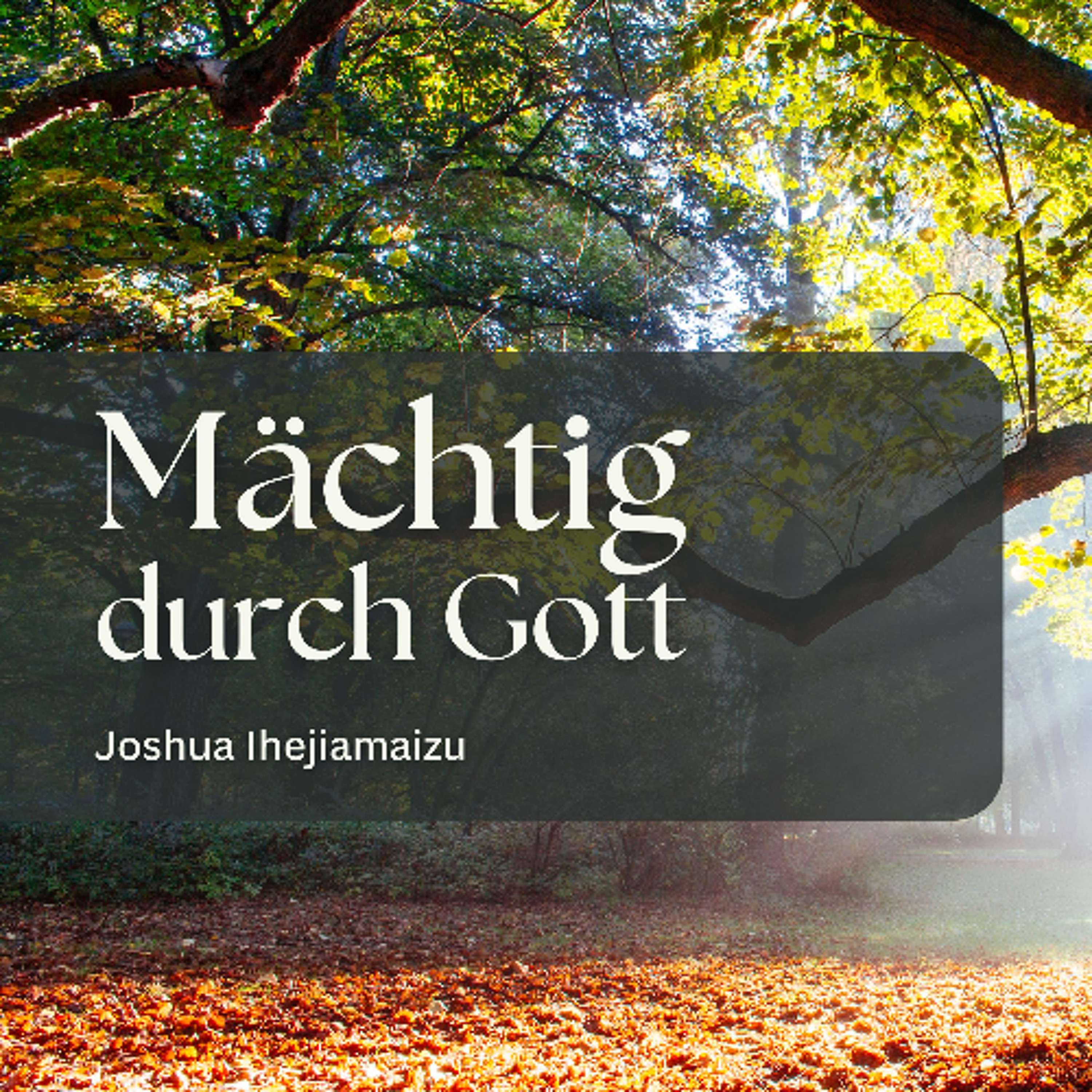 Mächtig durch Gott | Mighty through God : Joshua Ihejiamaizu