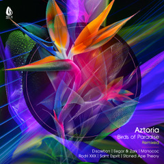 Aztoria - Birds of Paradise (Stoned Ape Theory Remix)