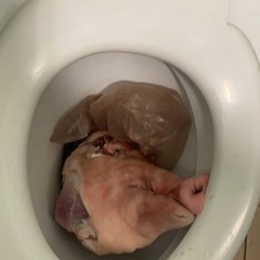 arhip on pede (dima diss track)