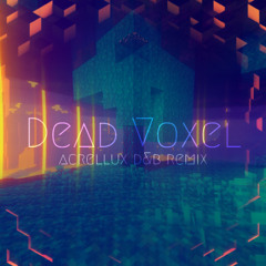 C418 - Dead Voxel (Acrellux D&B Edit)