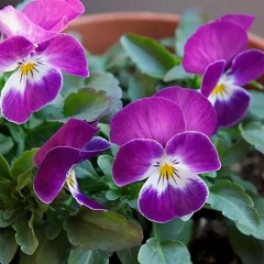 продаём наркотики через интернет