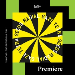 PREMIERE: Radial Glaze - Shruti And Sheila (Balam Remix) [Thisbe Recordings]