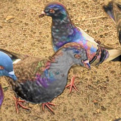 Byduernes Supersonic Wasteland