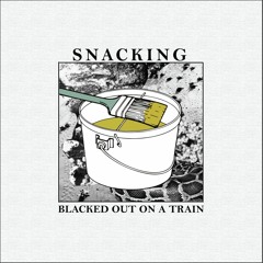 Blacked Out On A Train