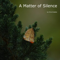 A Matter Of Silence
