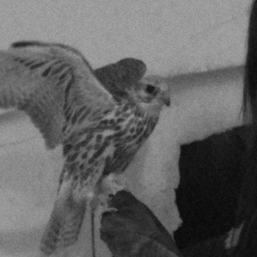 تدور الارض ..