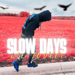 Slow Days (feat. LostInLeon)