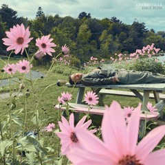 Cherryville (master)