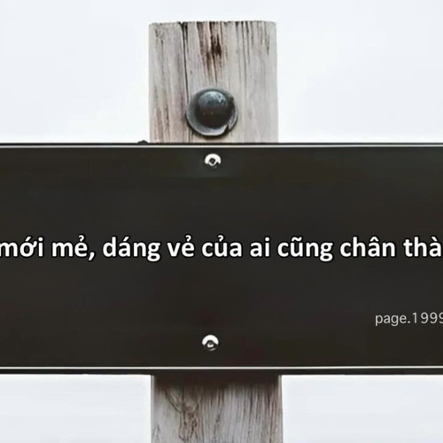 Yêu Phải Như Vậy | Noo Phước Thịnh Làn Sóng Xanh 2024