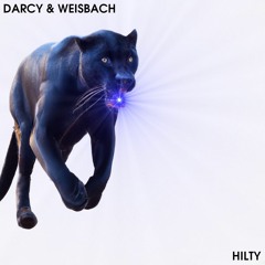 Darcy & Weisbach - Hilty