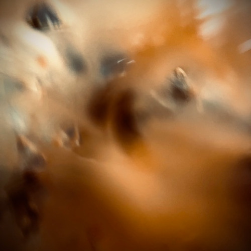 Danse spirituelle