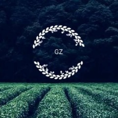 GZ Vibes
