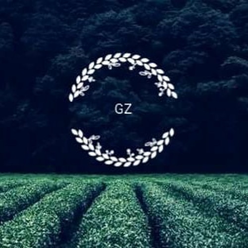 GZ Vibes