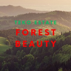 [Free] Teko Estate Prod. - "Forest Beauty"