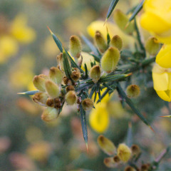 whatever you think is right