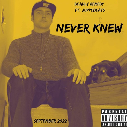 Never Knew (feat. JoppeBeats)