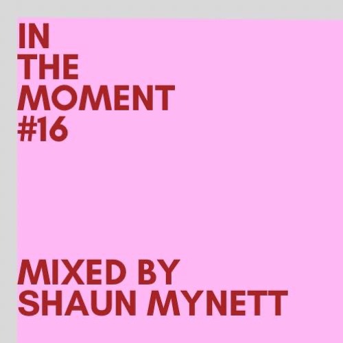 In The Moment #16