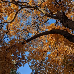 30.10.22 - no man's joint - 66bpm