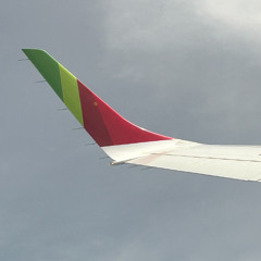 Safe Flight Back