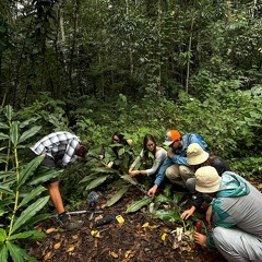 300623 / Play Flora / El Bosque, Melissa, Daniel, Rafael, Mariana, Liz y Jimmy / Maripoxa Binaural