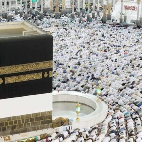{وَأَذِّن فِي النَّاسِ بِالْحَجِّ يَأْتُوكَ رِجَالًا}.  _الشيخ علي جابر