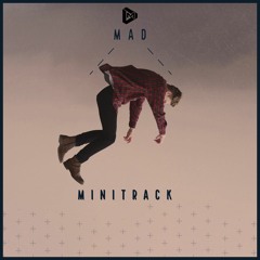 Minitrack - Mad (Original Mix) Preview