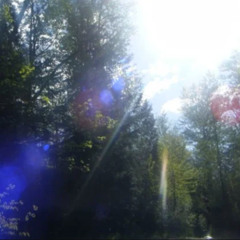 friendly to crows & LochHaven - fading light | sped up