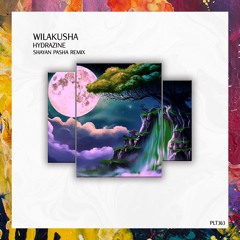 PREMIERE: Wilakusha — Hydrazine (Shayan Pasha Remix) [Polyptych]