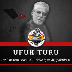 ‘Erdoğan tıpış tıpış vetoyu kaldıracak, ama sonrasında ne olacak anlatayım…’ - Prof Baskın Oran