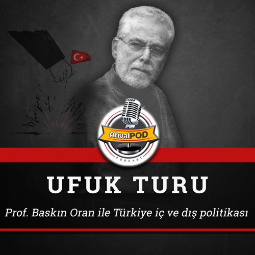 ‘Erdoğan tıpış tıpış vetoyu kaldıracak, ama sonrasında ne olacak anlatayım…’ - Prof Baskın Oran