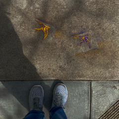 Walking