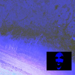 pesticide (Prod. sebski!)