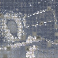 Dyscotique