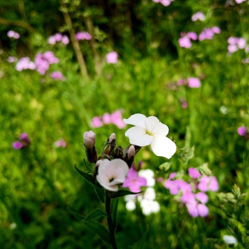 Begging For Forgiveness