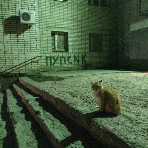 Rose & Noahh - MESSIN UP